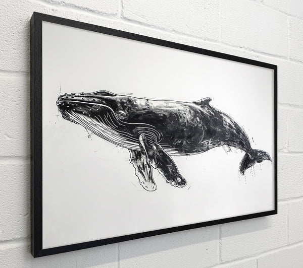 Black Whale'S Grace