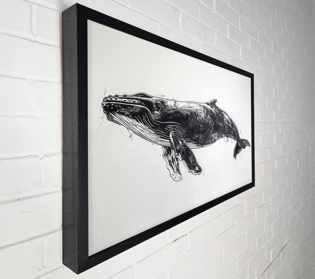  A Canvas Print of Black Whale'S Grace Canvas Wall Art