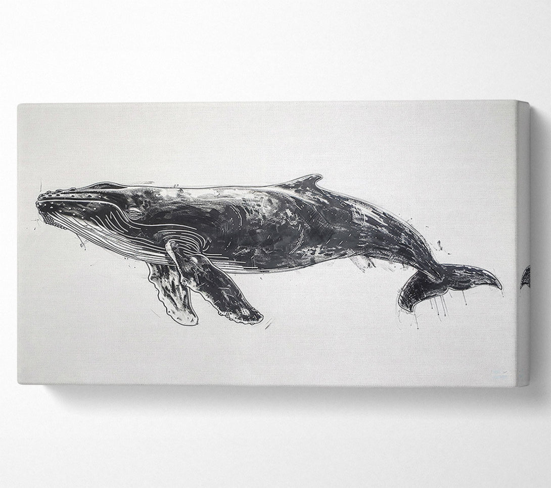  A Canvas Print of Black Whale'S Grace Canvas Wall Art