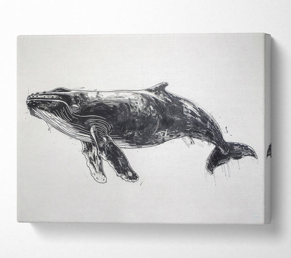  A Canvas Print of Black Whale'S Grace Canvas Wall Art
