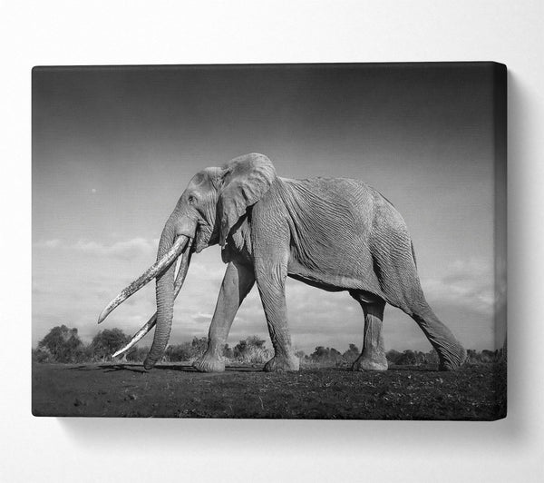  A Canvas Print of Grey Giant'S Walk Canvas Print