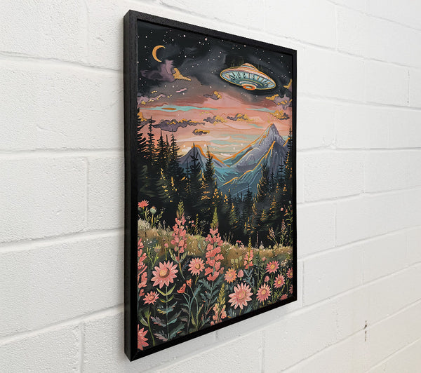 Pink Mountain Ufo