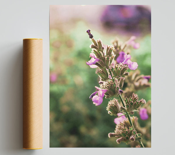 Pink Floral Stems Giclee Print