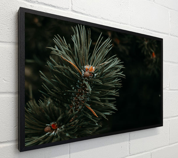 Emerald Pine Sprig