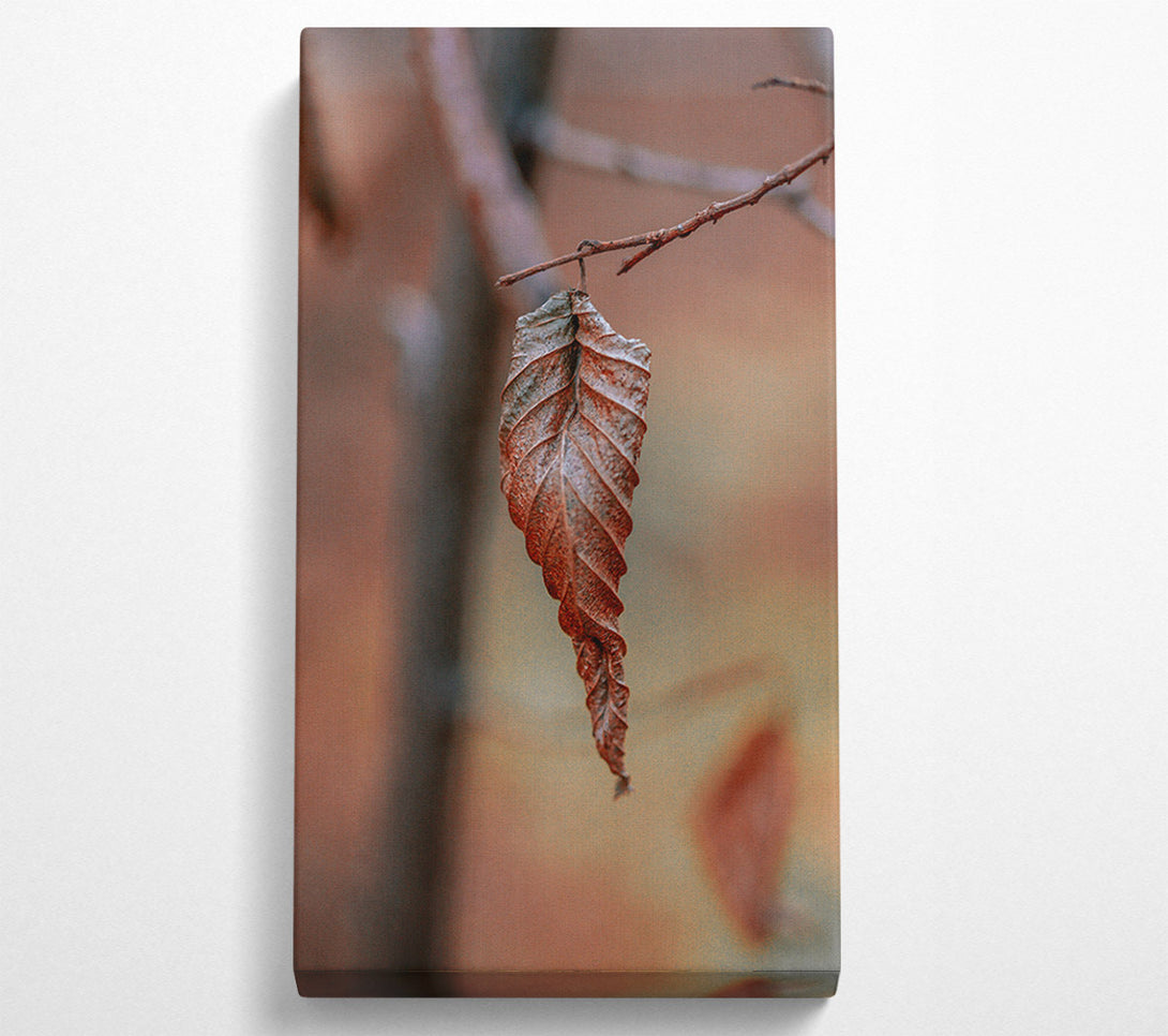  A Canvas Print of Crimson Leaf'S Last Stand Canvas Art