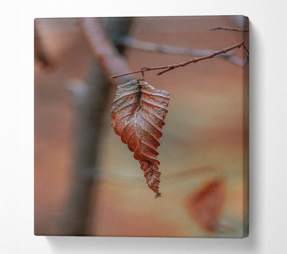  A Canvas Print of Crimson Leaf'S Last Stand Canvas Art
