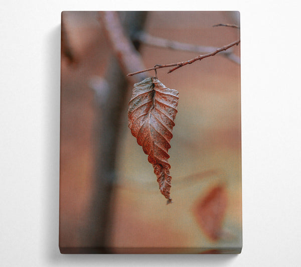  A Canvas Print of Crimson Leaf'S Last Stand Canvas Art