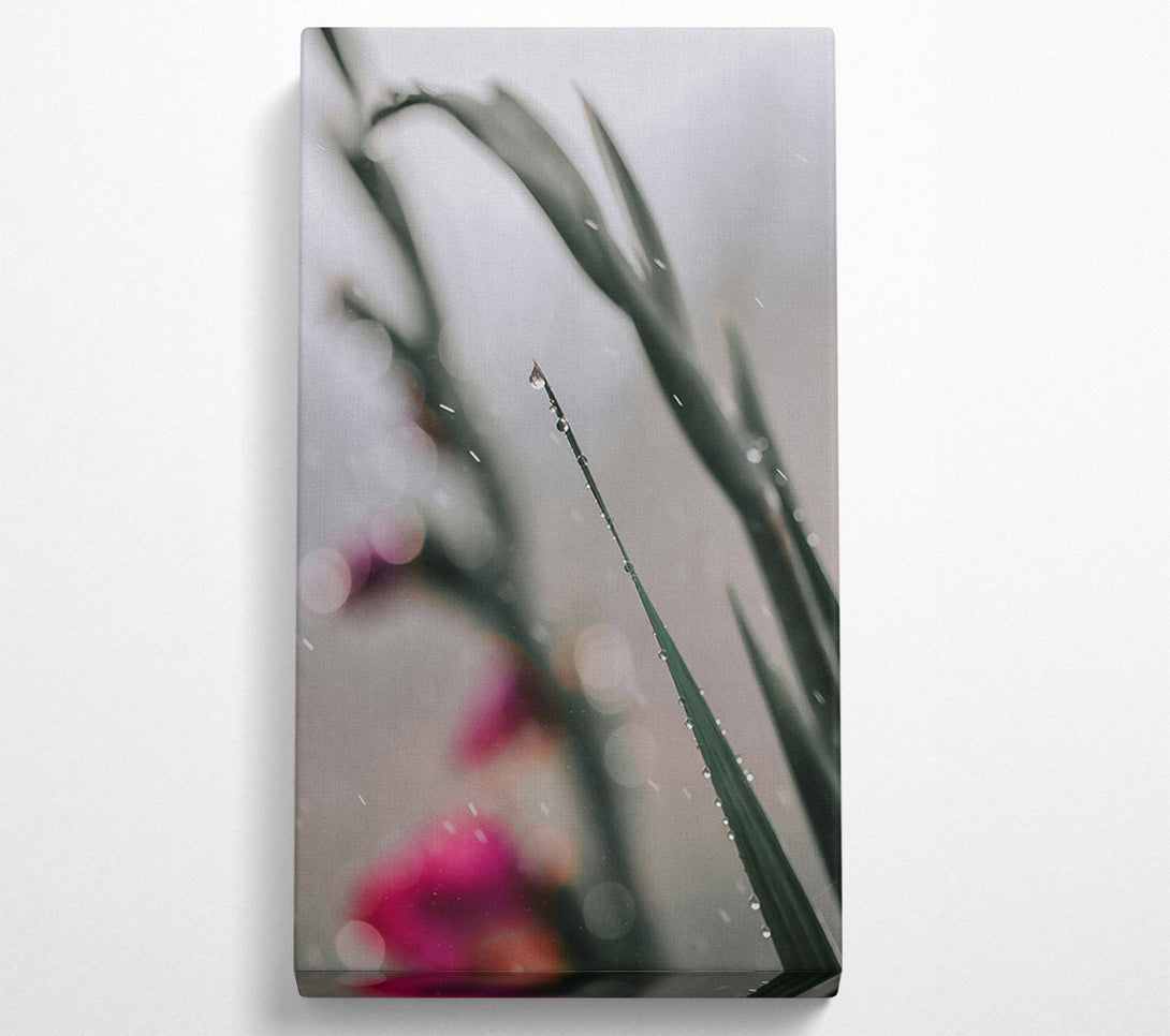  A Canvas Print of Green Dewdrop Reflections Canvas Print