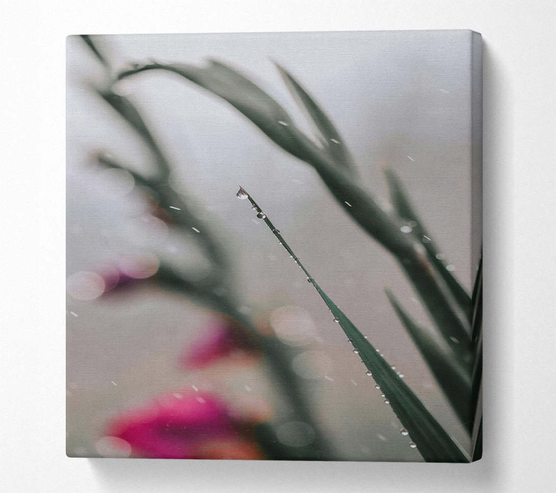  A Canvas Print of Green Dewdrop Reflections Canvas Print