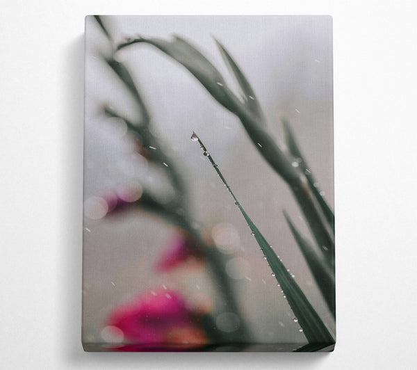  A Canvas Print of Green Dewdrop Reflections Canvas Print