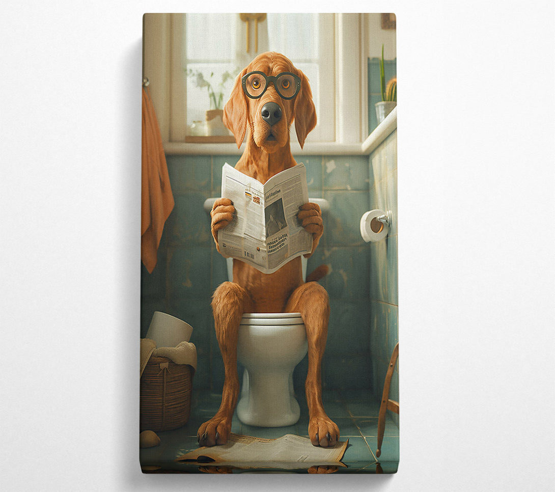  A Canvas Print of The Brown Newsreader Canvas Art