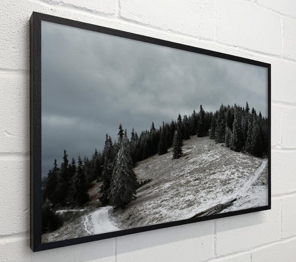 Grey Winter Path