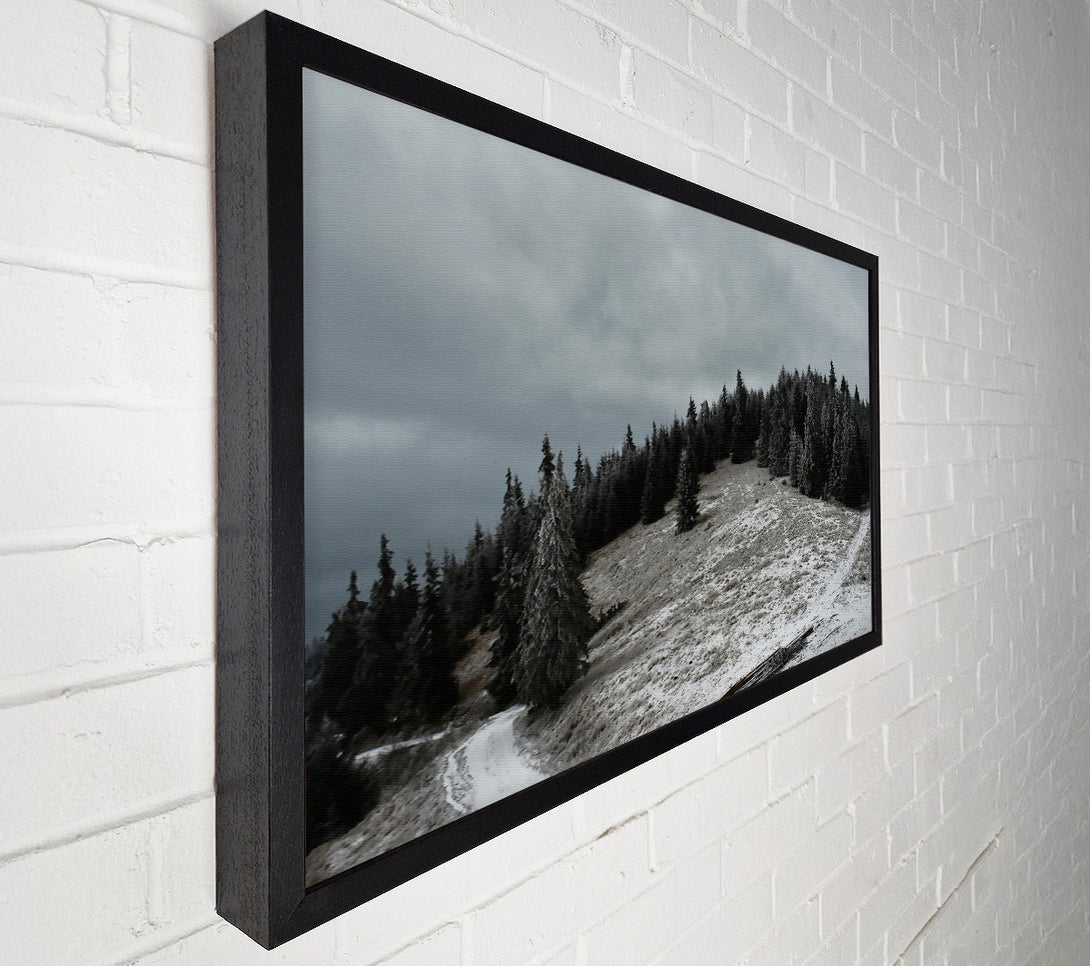  A Canvas Print of Grey Winter Path Canvas Wall Art