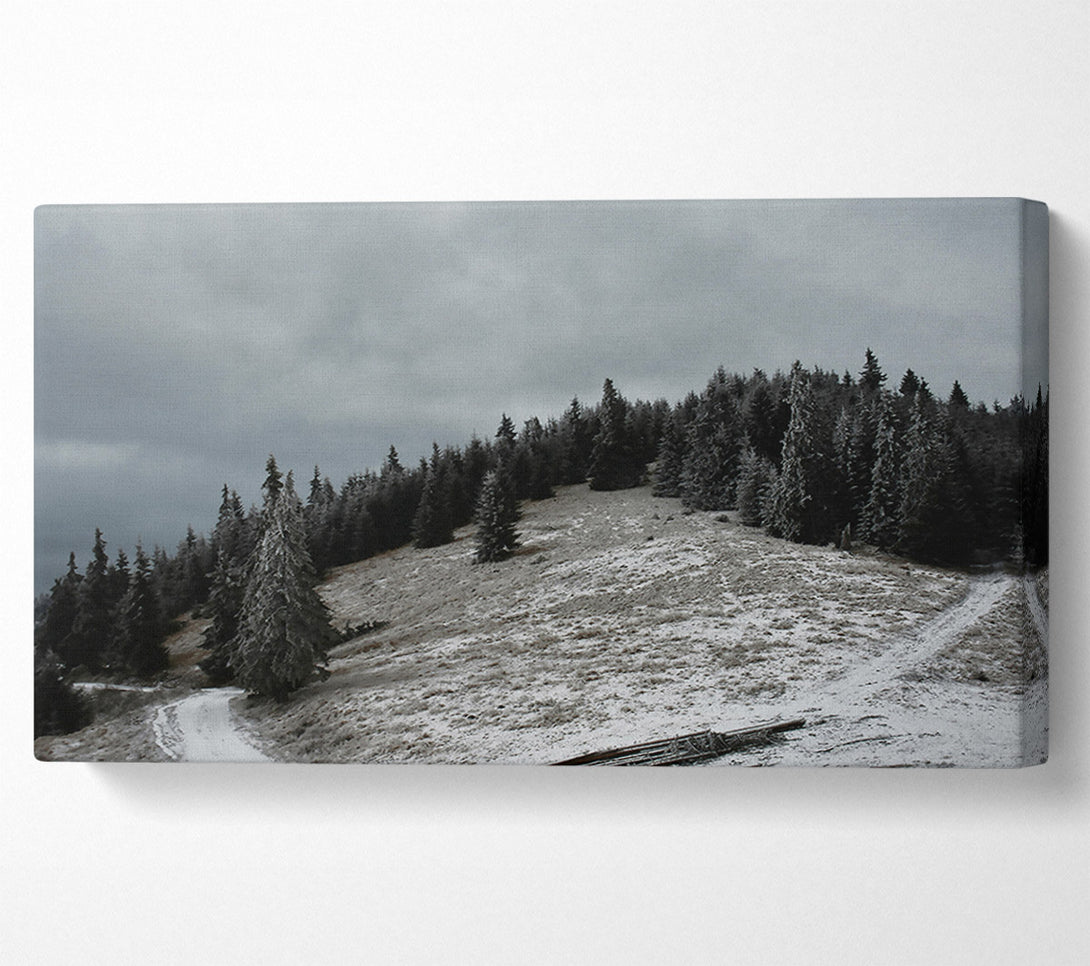  A Canvas Print of Grey Winter Path Canvas Wall Art