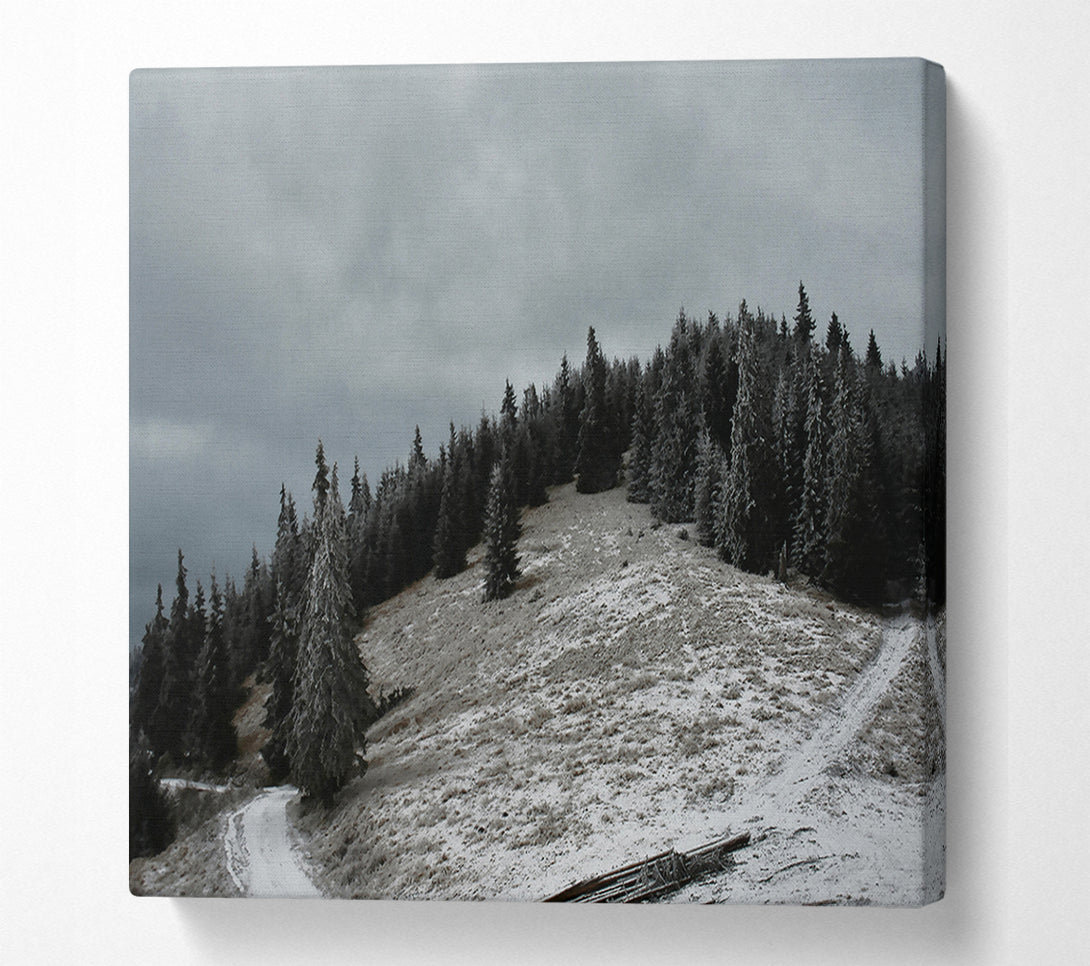  A Canvas Print of Grey Winter Path Canvas Wall Art