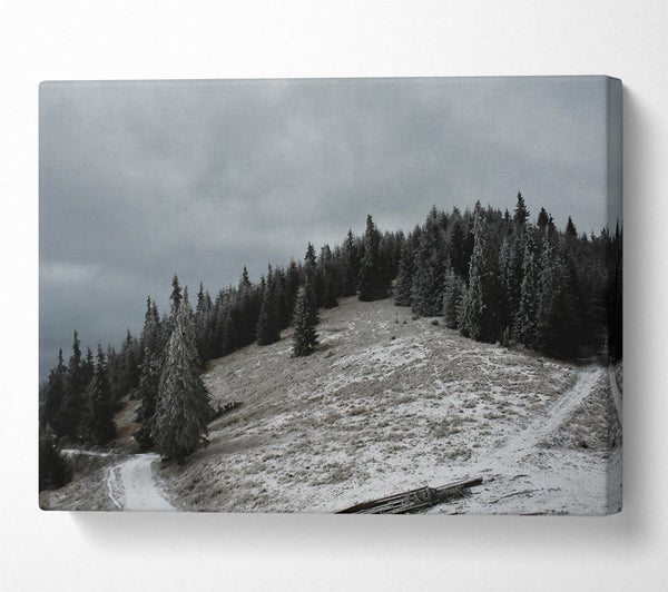  A Canvas Print of Grey Winter Path Canvas Wall Art