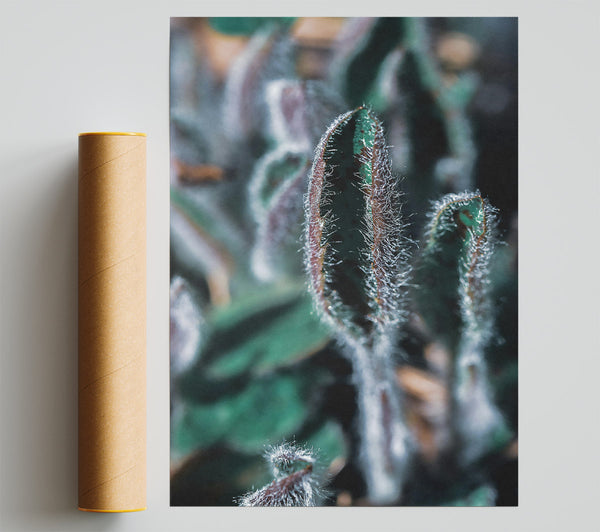 Emerald Fuzzy Bloom Print