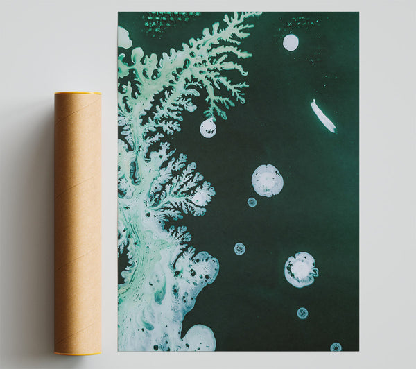 Emerald White Bloom Poster
