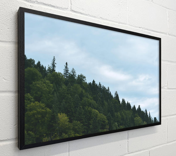 Azure Forest Skyline