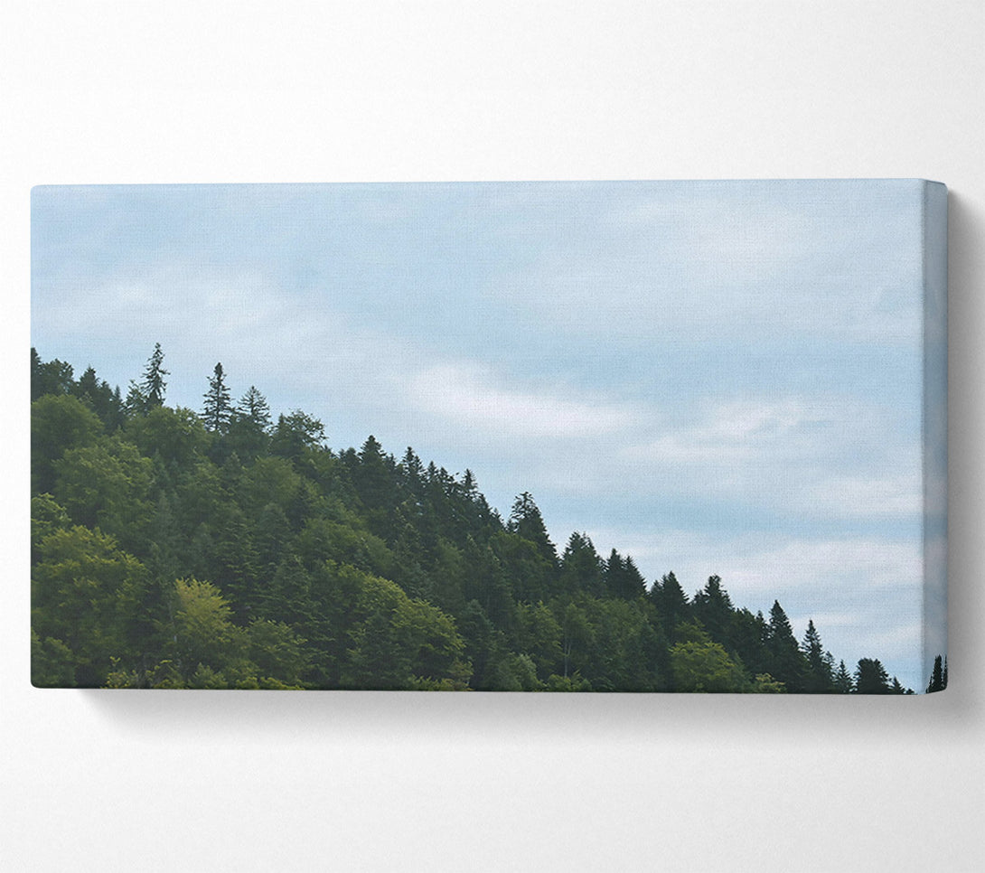  A Canvas Print of Azure Forest Skyline Canvas Wall Art
