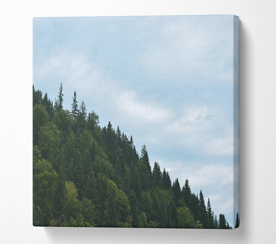  A Canvas Print of Azure Forest Skyline Canvas Wall Art