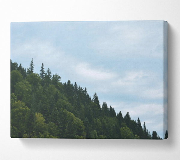  A Canvas Print of Azure Forest Skyline Canvas Wall Art