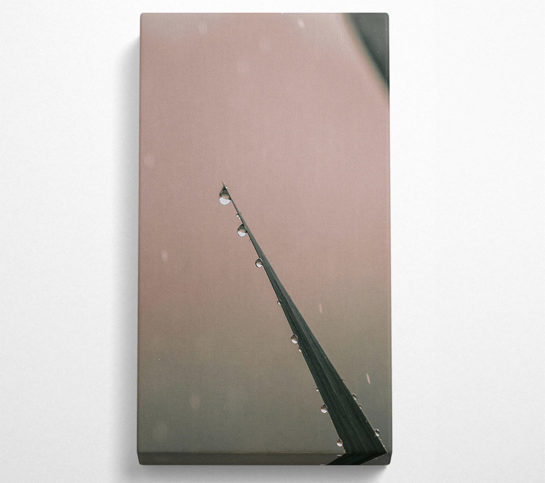  A Canvas Print of Dusky Dewdrop Symphony Canvas Art