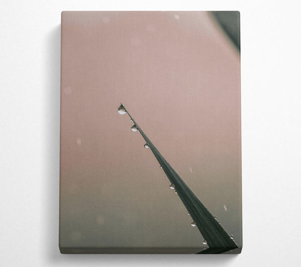  A Canvas Print of Dusky Dewdrop Symphony Canvas Art