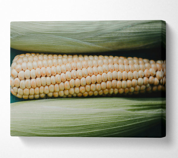  A Canvas Print of Creamy Corn Cob Rows Canvas Wall Art