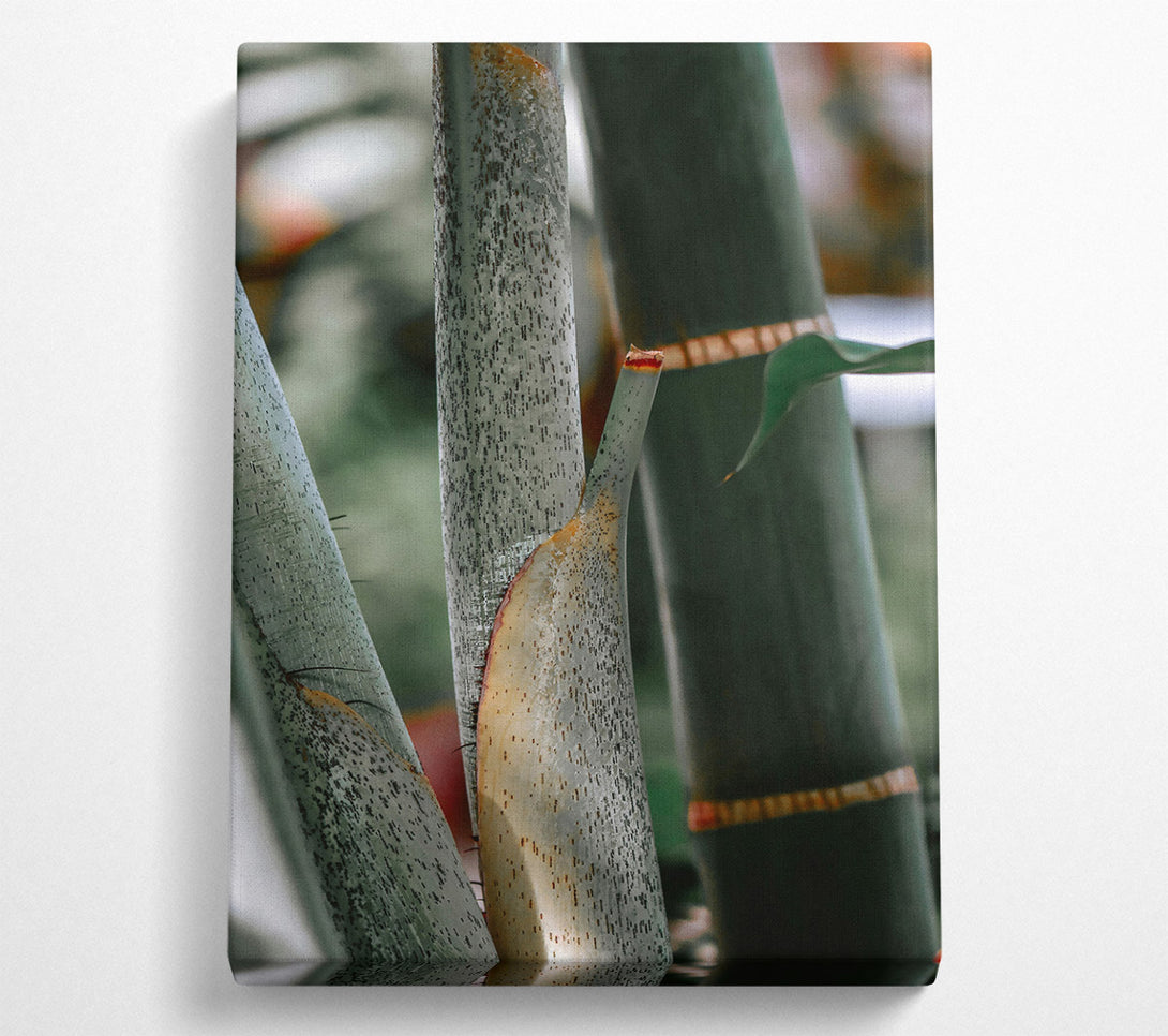  A Canvas Print of Loading... Canvas Print
