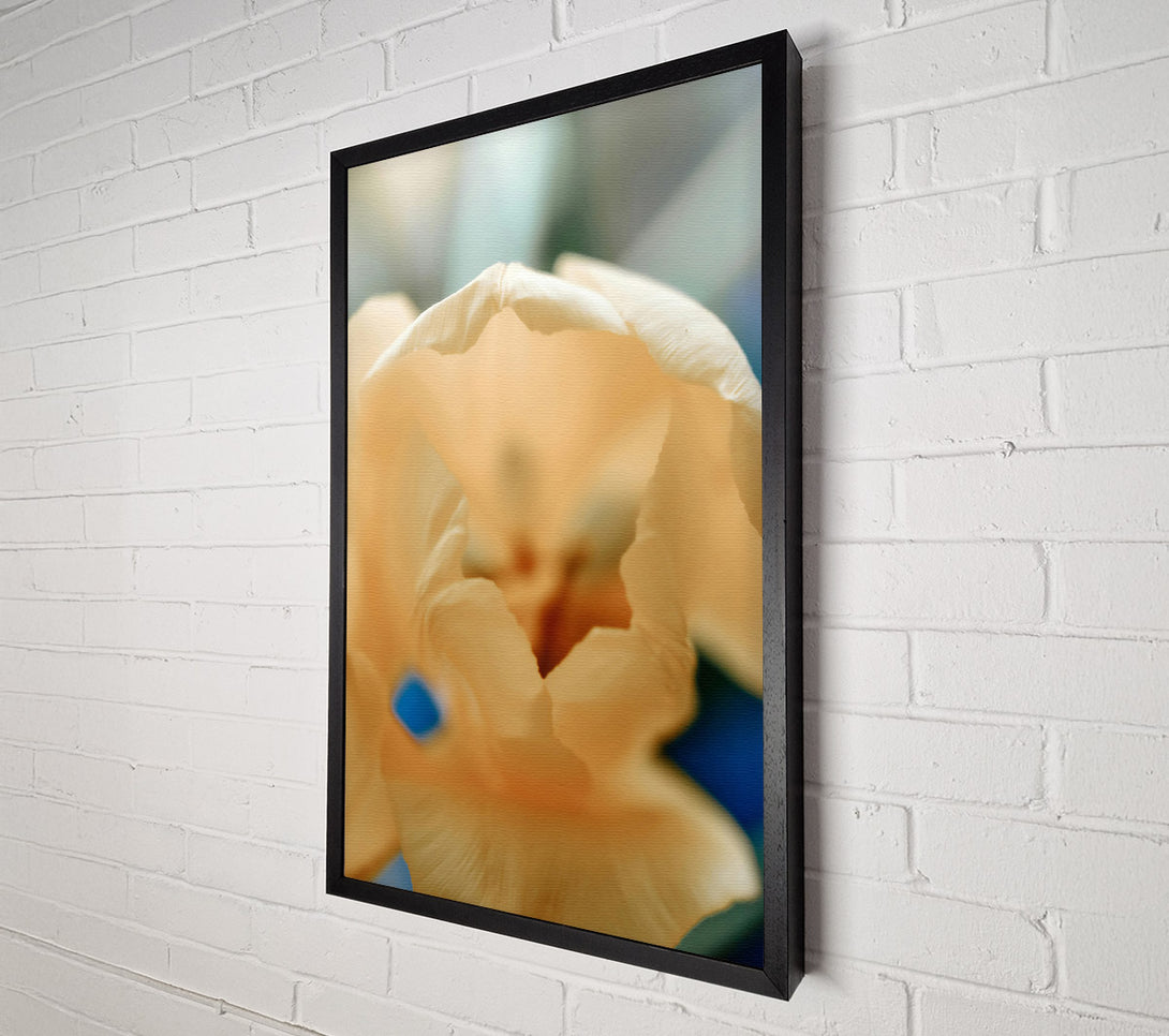  A Canvas Print of Creamy Petal Bloom Canvas Print