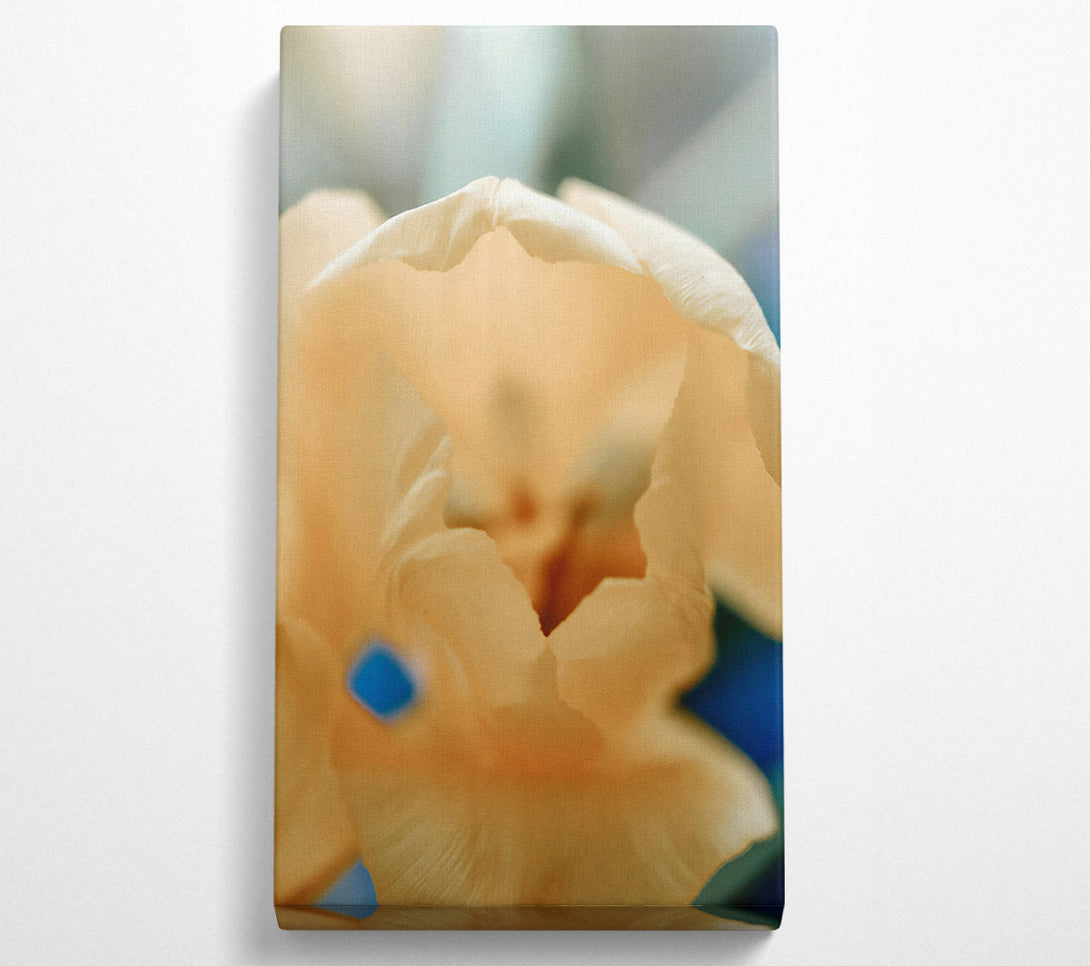  A Canvas Print of Creamy Petal Bloom Canvas Print