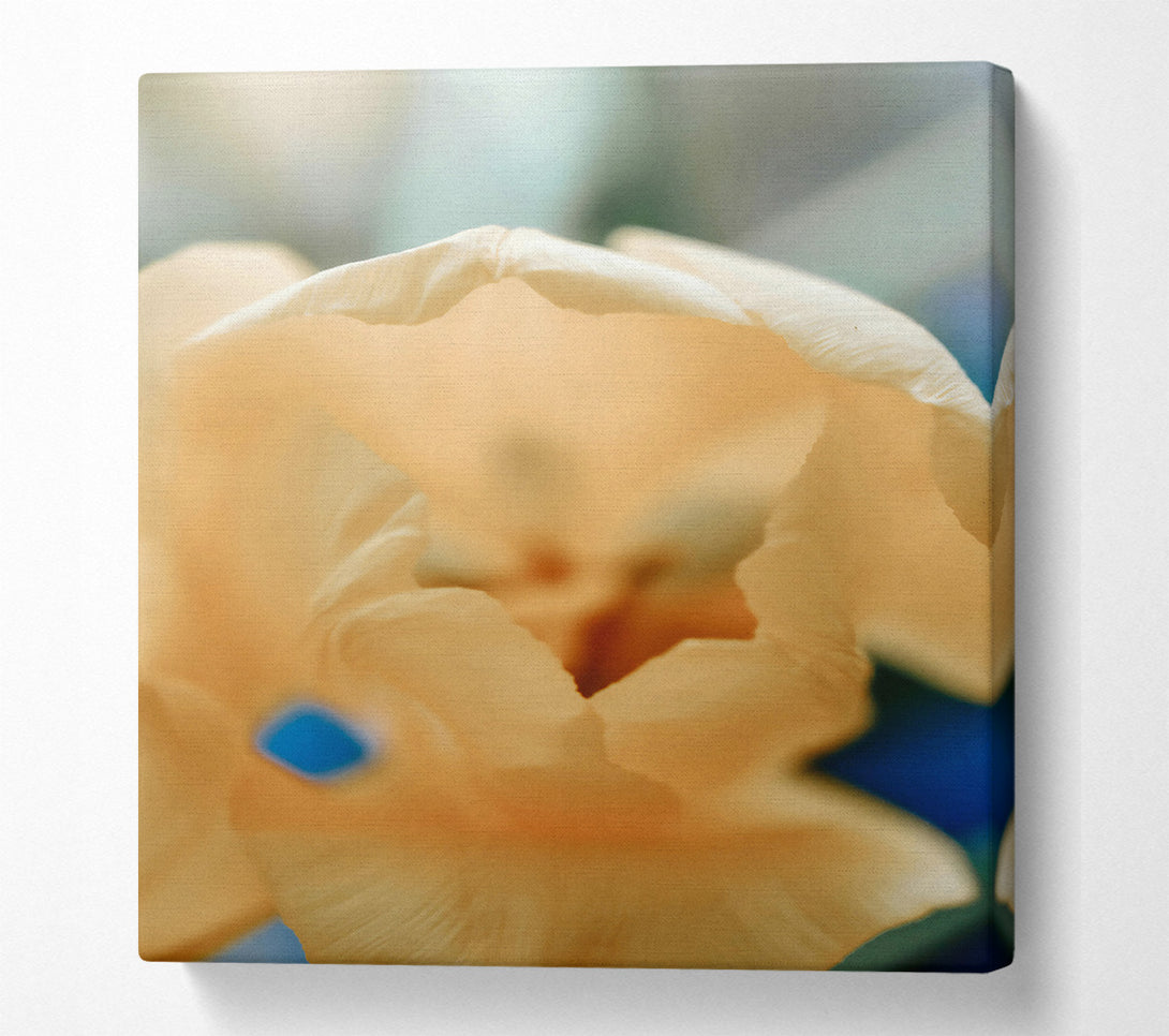  A Canvas Print of Creamy Petal Bloom Canvas Print