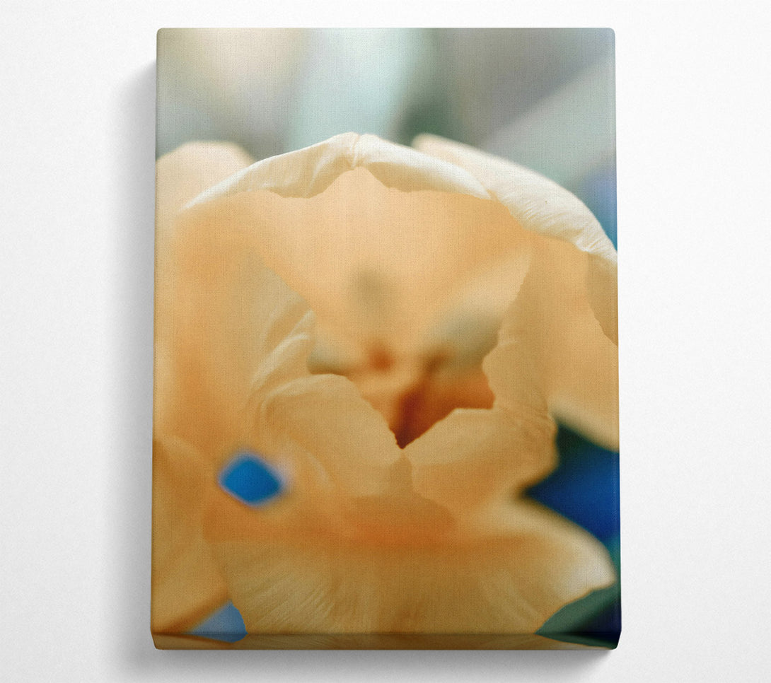  A Canvas Print of Creamy Petal Bloom Canvas Print