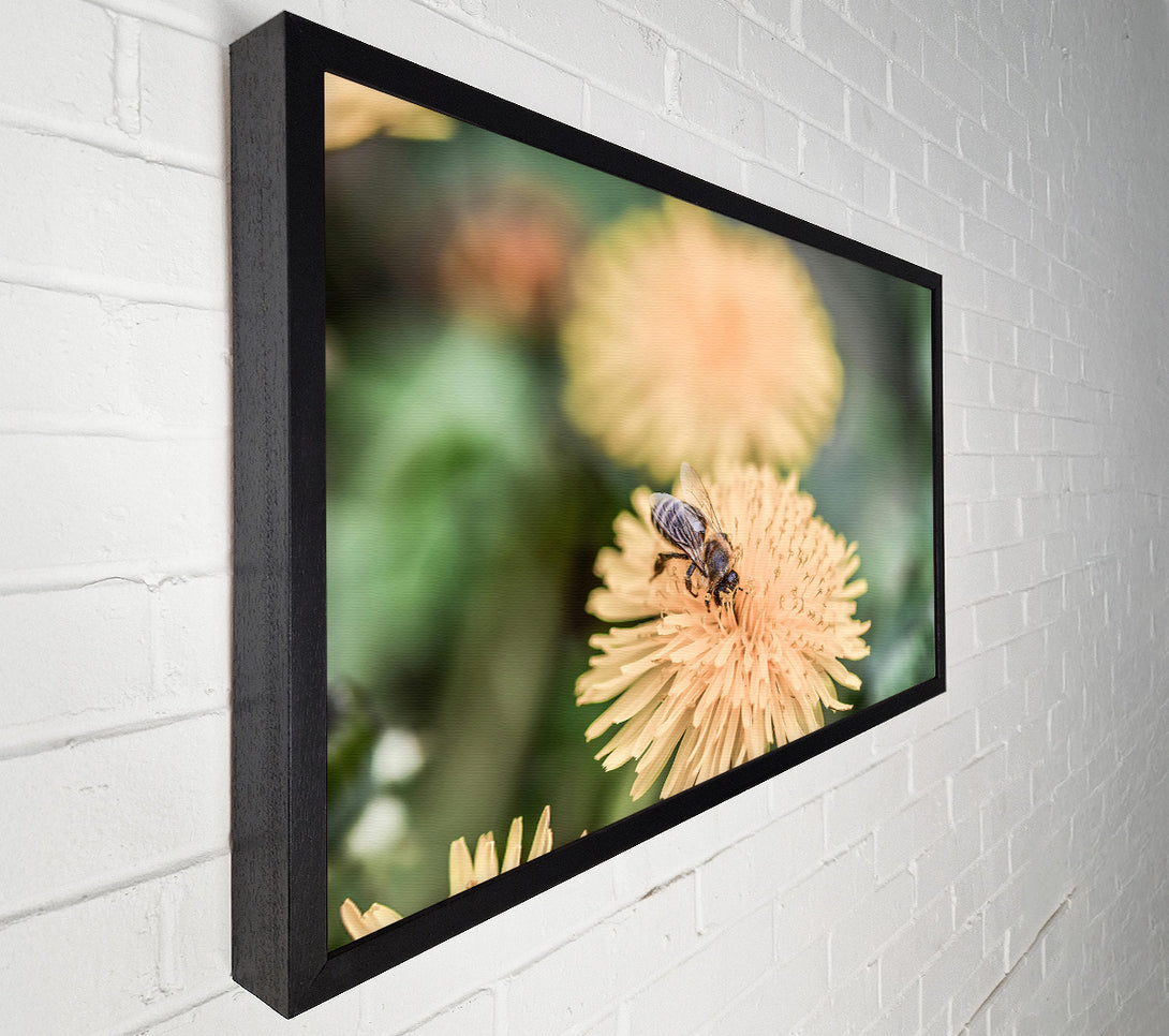  A Canvas Print of Golden Bee Bloom Canvas Art