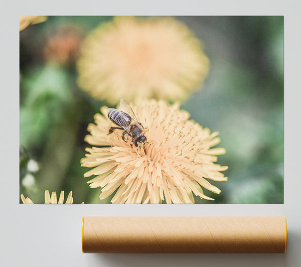 Golden Bee Bloom Giclee Print
