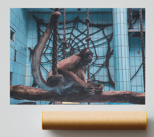 Blue Tile Monkey Poster
