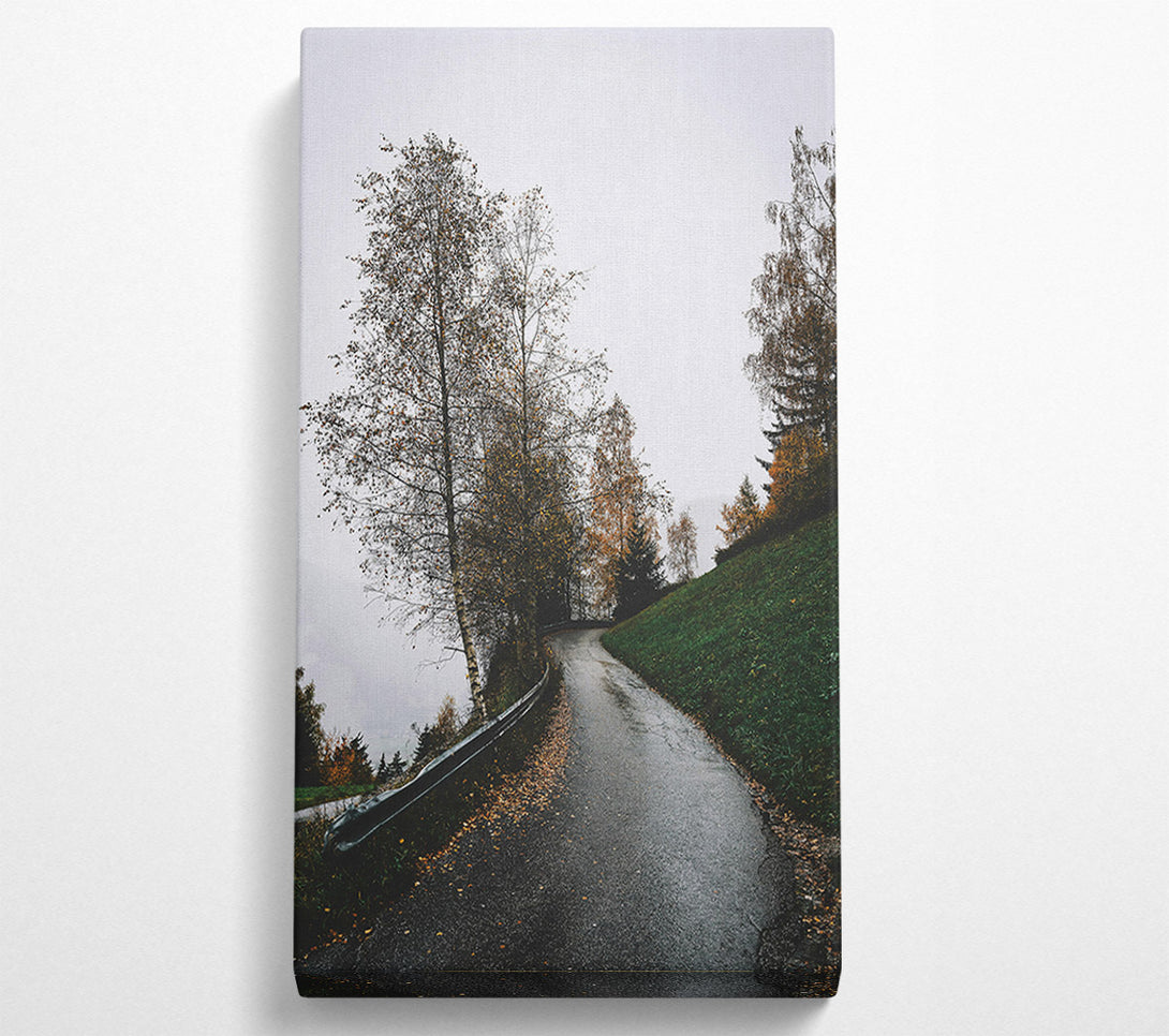  A Canvas Print of Green Road To Fog Canvas Art