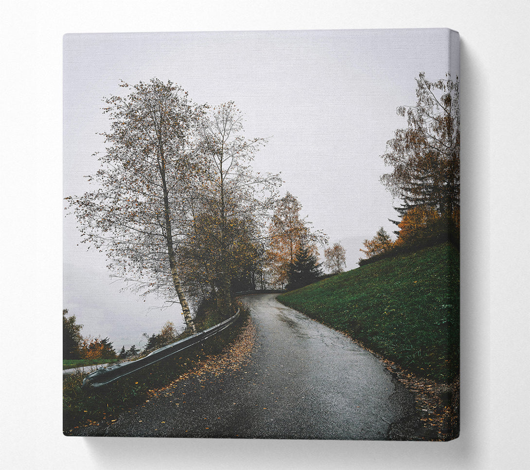  A Canvas Print of Green Road To Fog Canvas Art