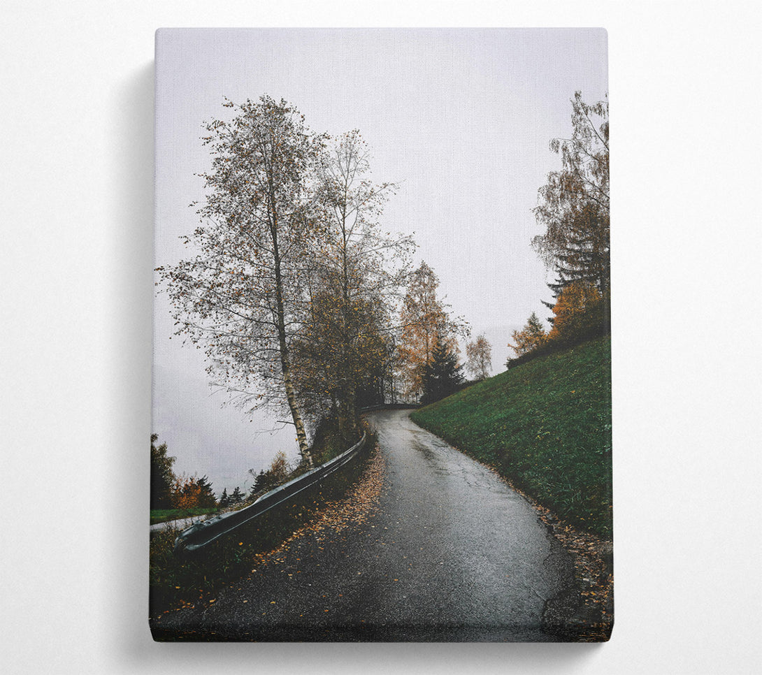  A Canvas Print of Green Road To Fog Canvas Art