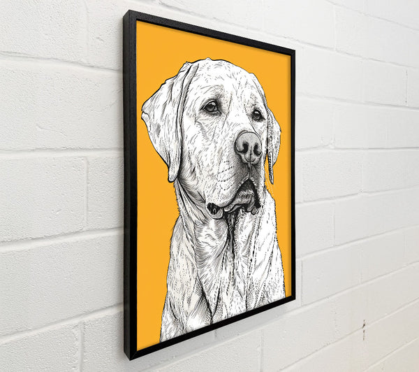 Golden Furry Friend
