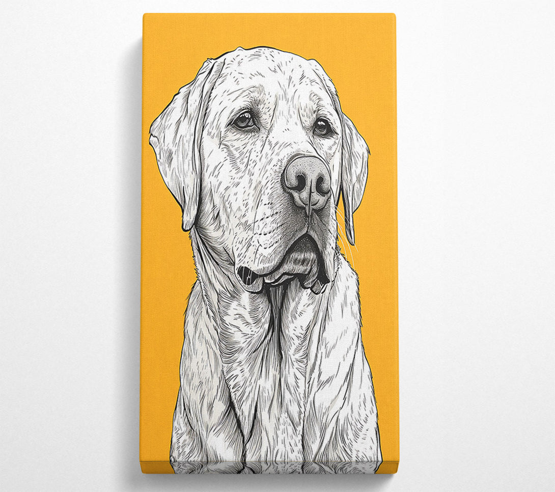  A Canvas Print of Golden Furry Friend Canvas Print