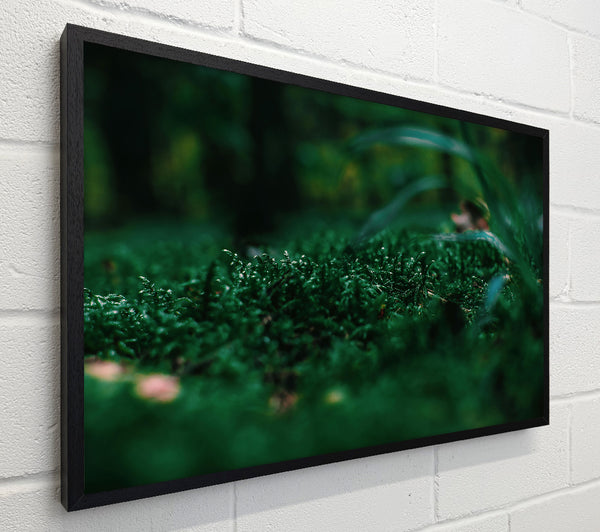 Emerald Green Moss