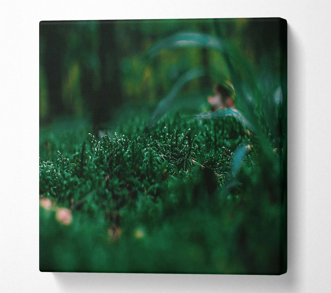  A Canvas Print of Emerald Green Moss Canvas Print