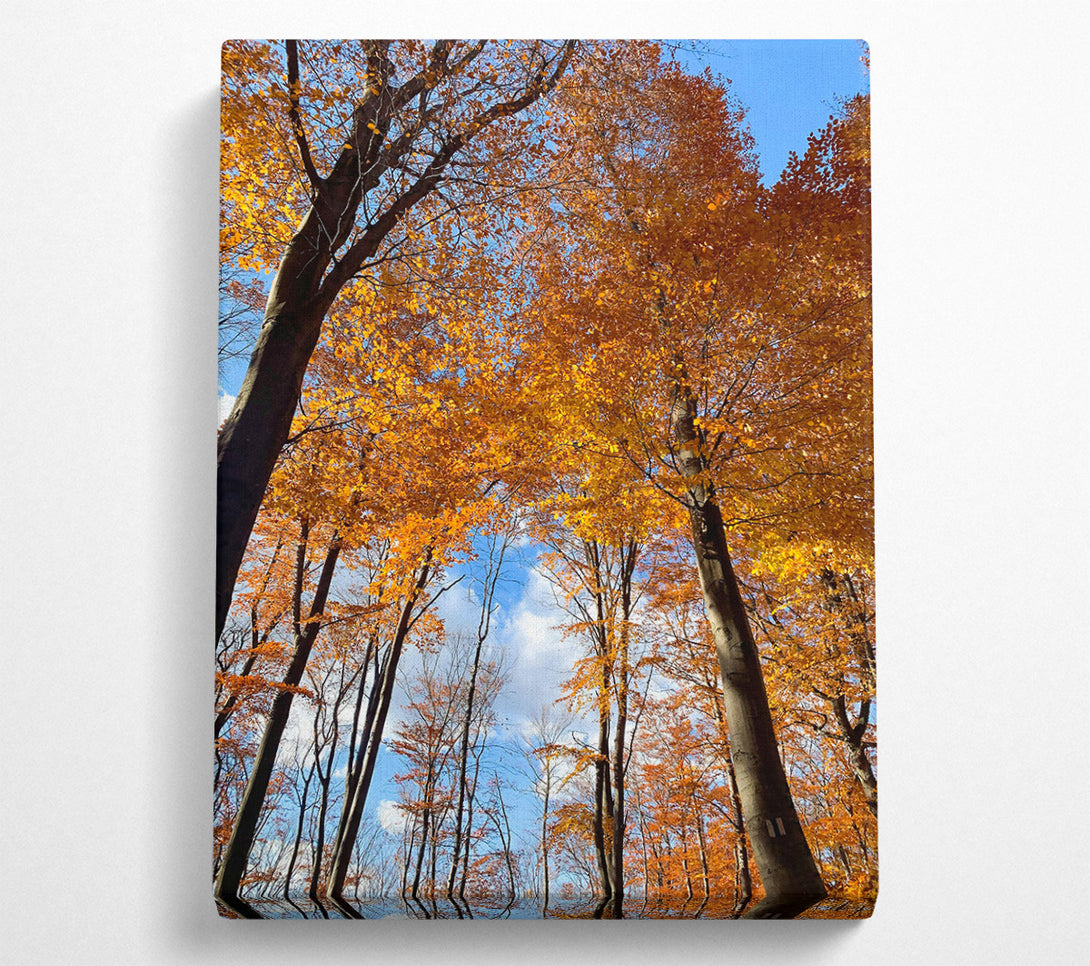  A Canvas Print of Golden Canopy Skyward Canvas Art