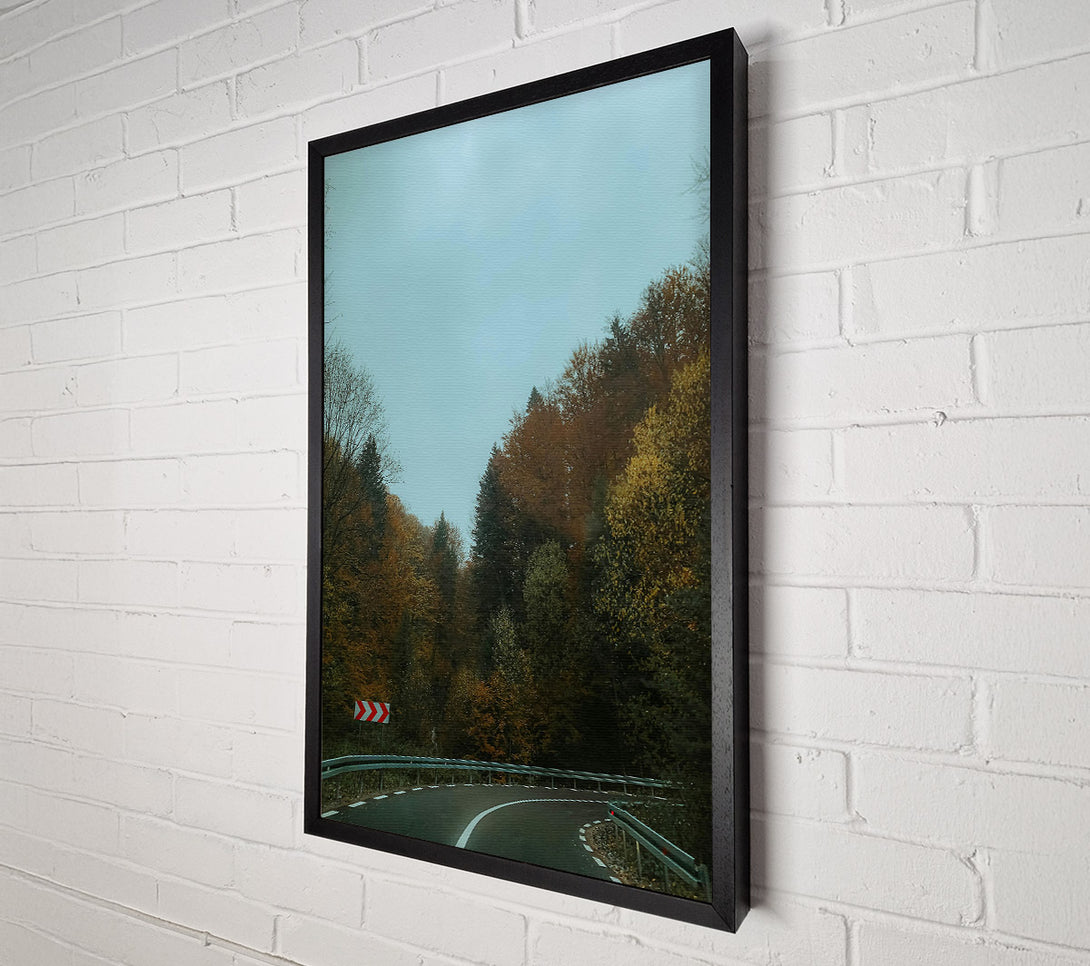  A Canvas Print of Blue Sky Forest Road Canvas Print