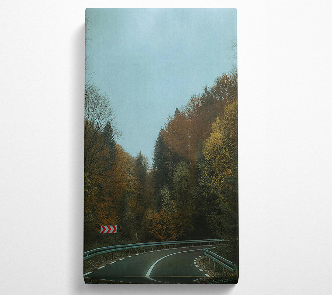 A Canvas Print of Blue Sky Forest Road Canvas Print