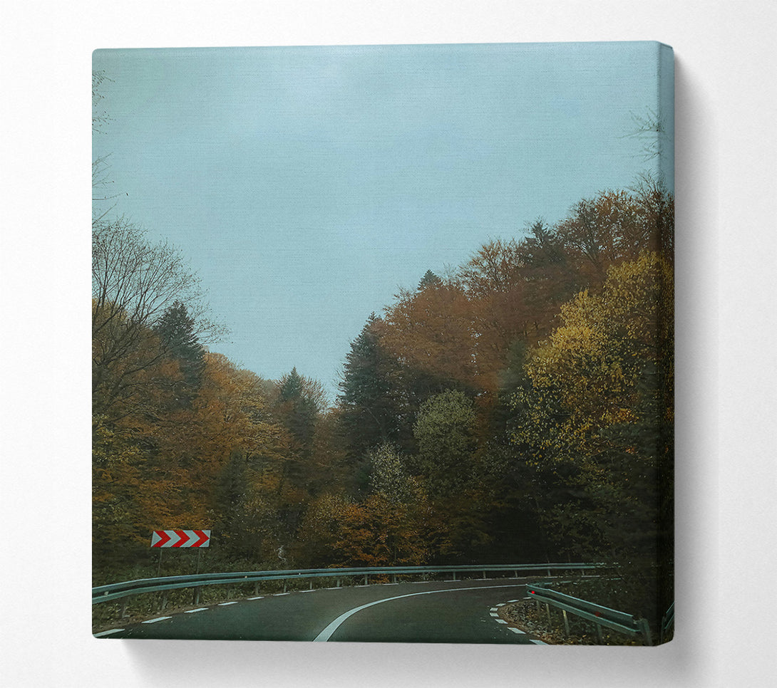  A Canvas Print of Blue Sky Forest Road Canvas Print