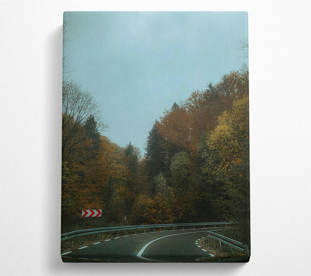  A Canvas Print of Blue Sky Forest Road Canvas Print