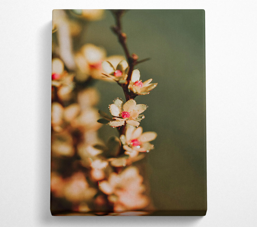  A Canvas Print of Golden Dewy Blooms Canvas Wall Art
